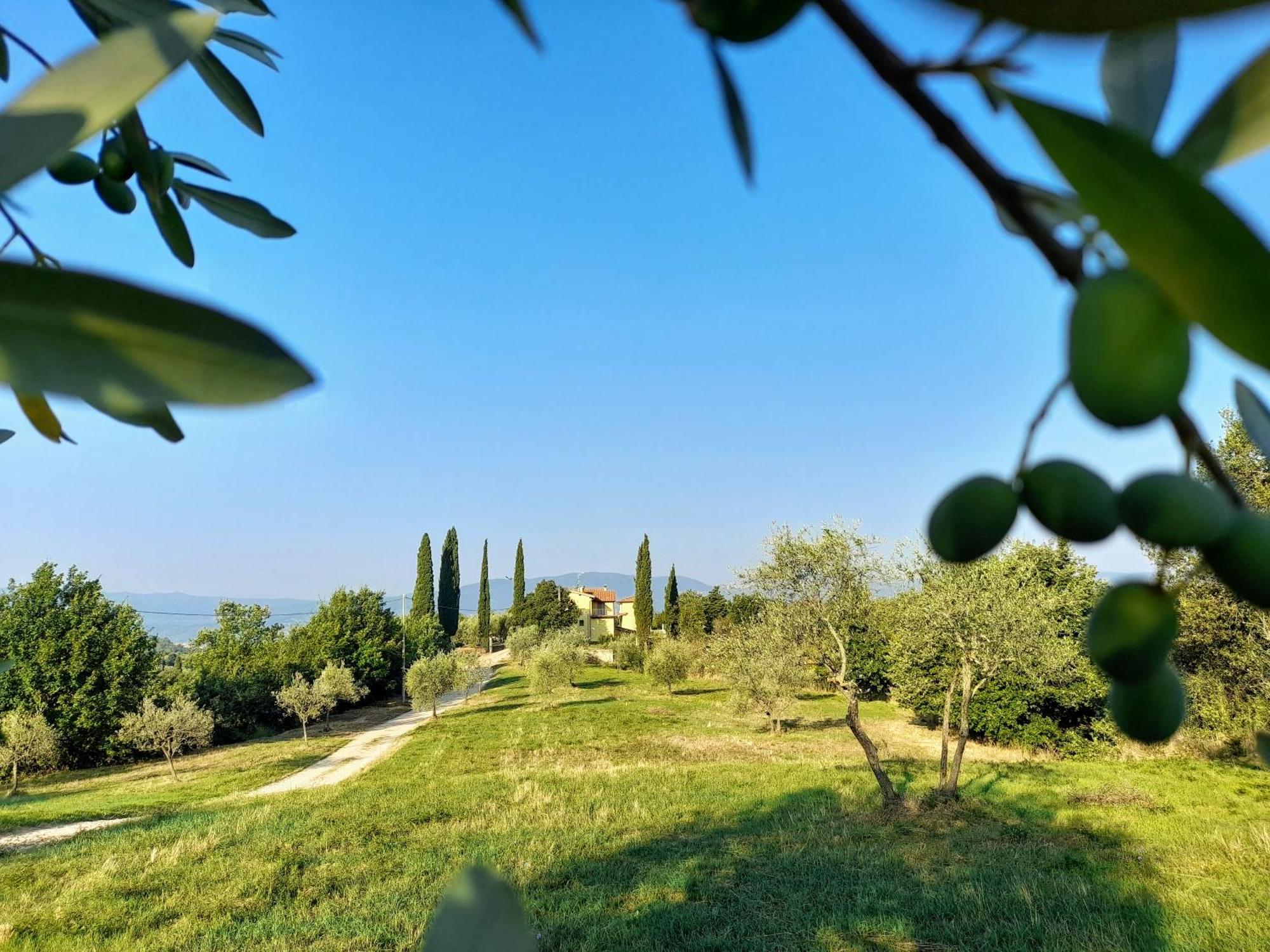 Casa Giulia Villa Reggello Dış mekan fotoğraf