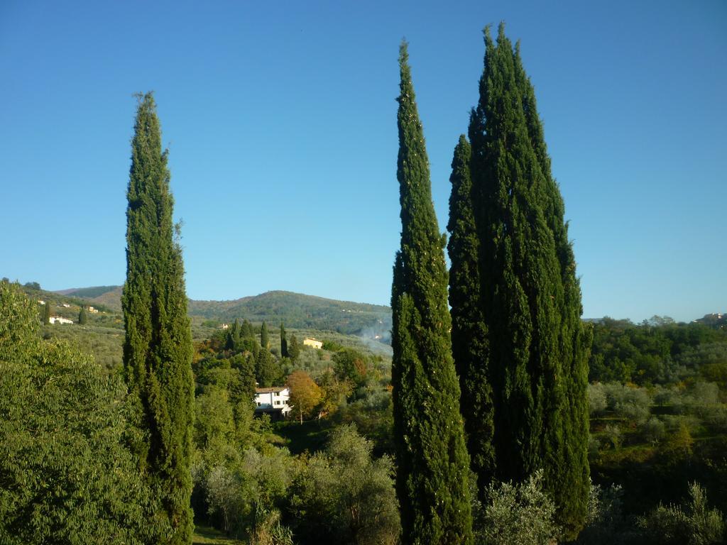 Casa Giulia Villa Reggello Dış mekan fotoğraf